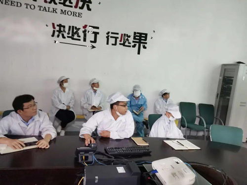 第十一事業部涂裝深圳工廠成功舉辦技術交流活動，共促工藝革新與質量提升